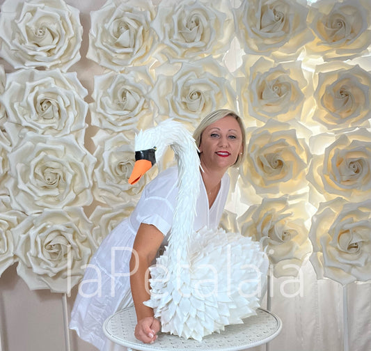 Un Cigno...... VirCIgno!