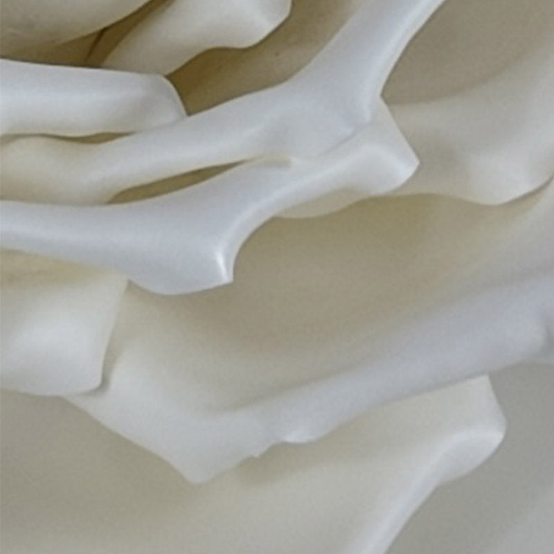 Rosa su stelo autoportante - Singola