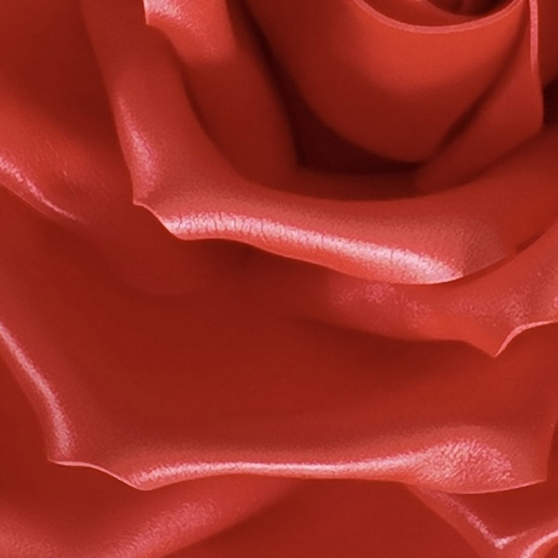 Rosa gigante da indossare