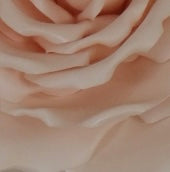 Rosa da appoggio o da parete